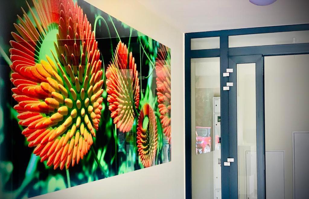 Apartmán Apartament Na Wzgorzu Lidzbark Warmiński Exteriér fotografie